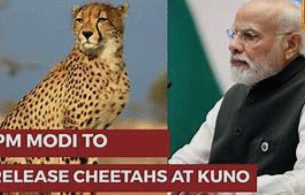 PM Modi Namibia Visit 