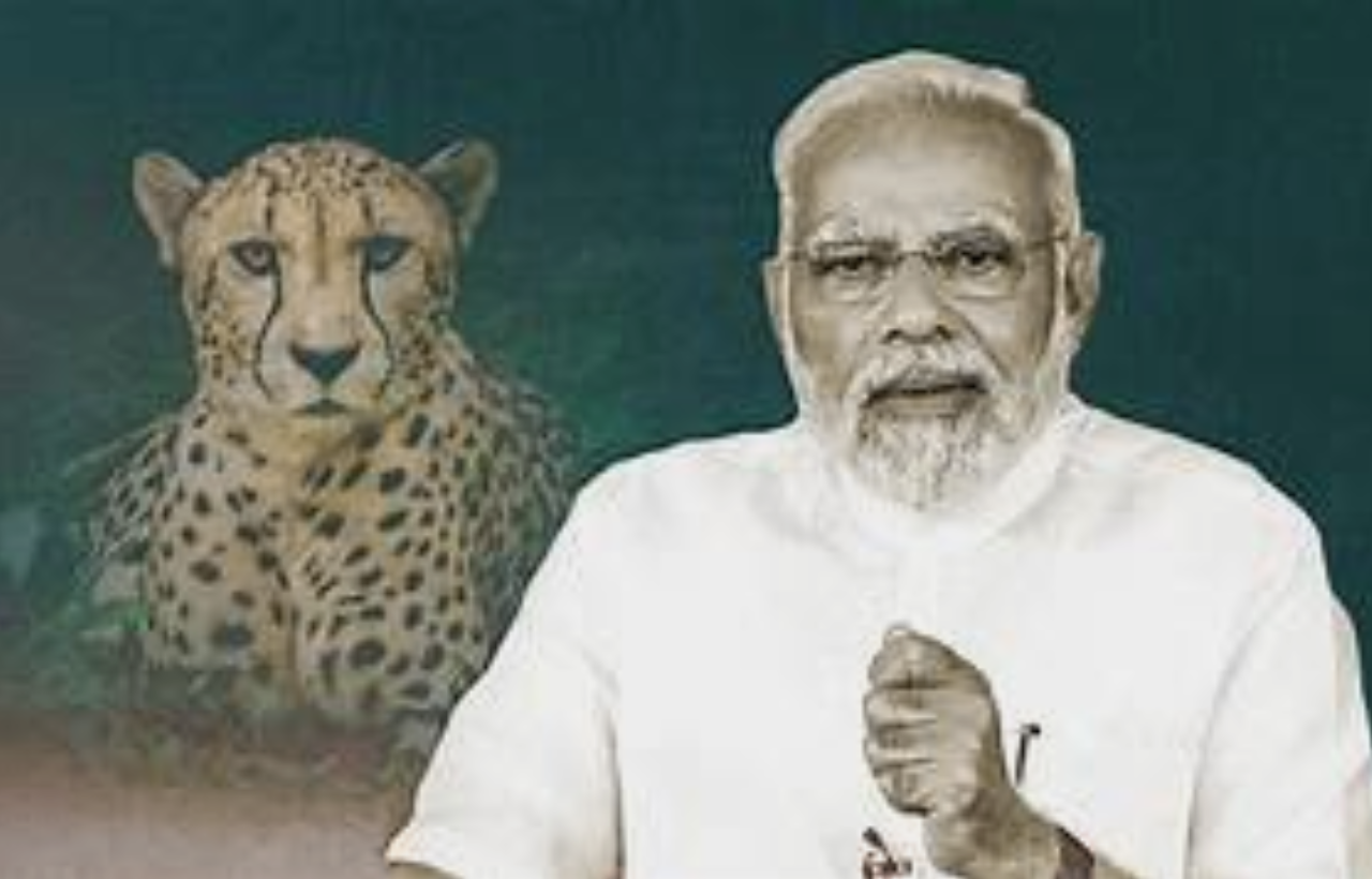 PM Modi Namibia Visit 